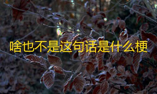 暗区突围直装参数啥也不是这句话是什么梗